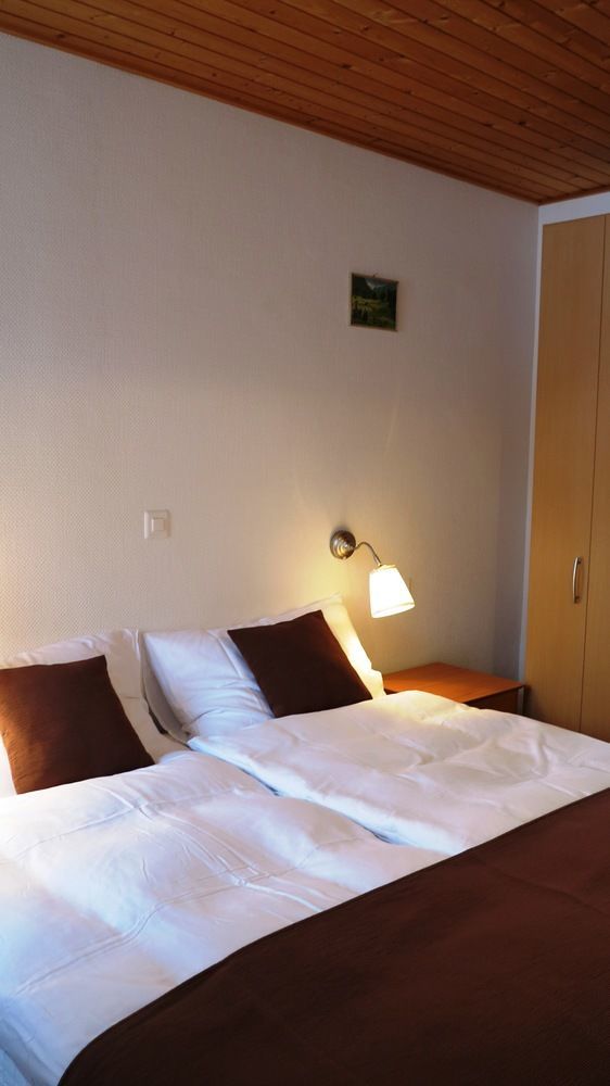 Hotel Alpina Νταβός Εξωτερικό φωτογραφία